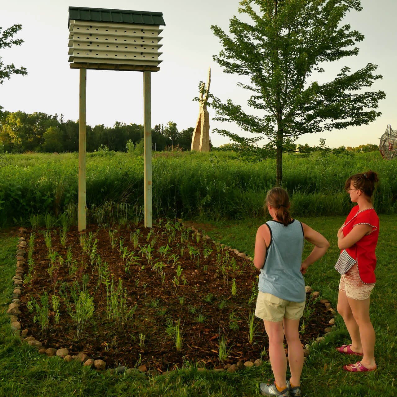 Two people stare at rows of plants in the shape of a basketball free throw lane with a purple martin house instead of a backboard and hoop