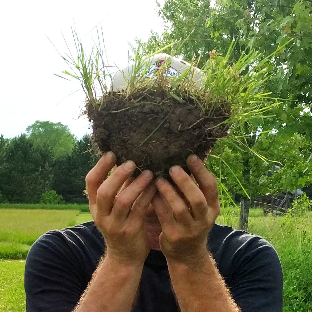 a person in a field holds a clump of dirt with grass for hair in both hands in front of their face