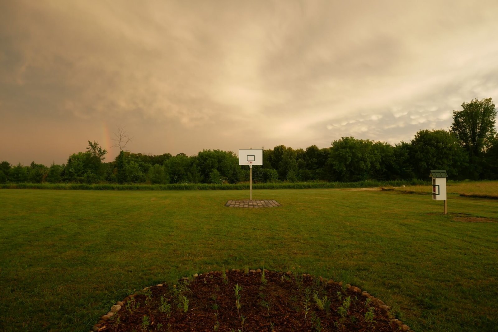 A white and green basketball backboard against a dramatic cloudy sky. Most of the court is grass, one key is a garden and  the other is made of concrete pavers.