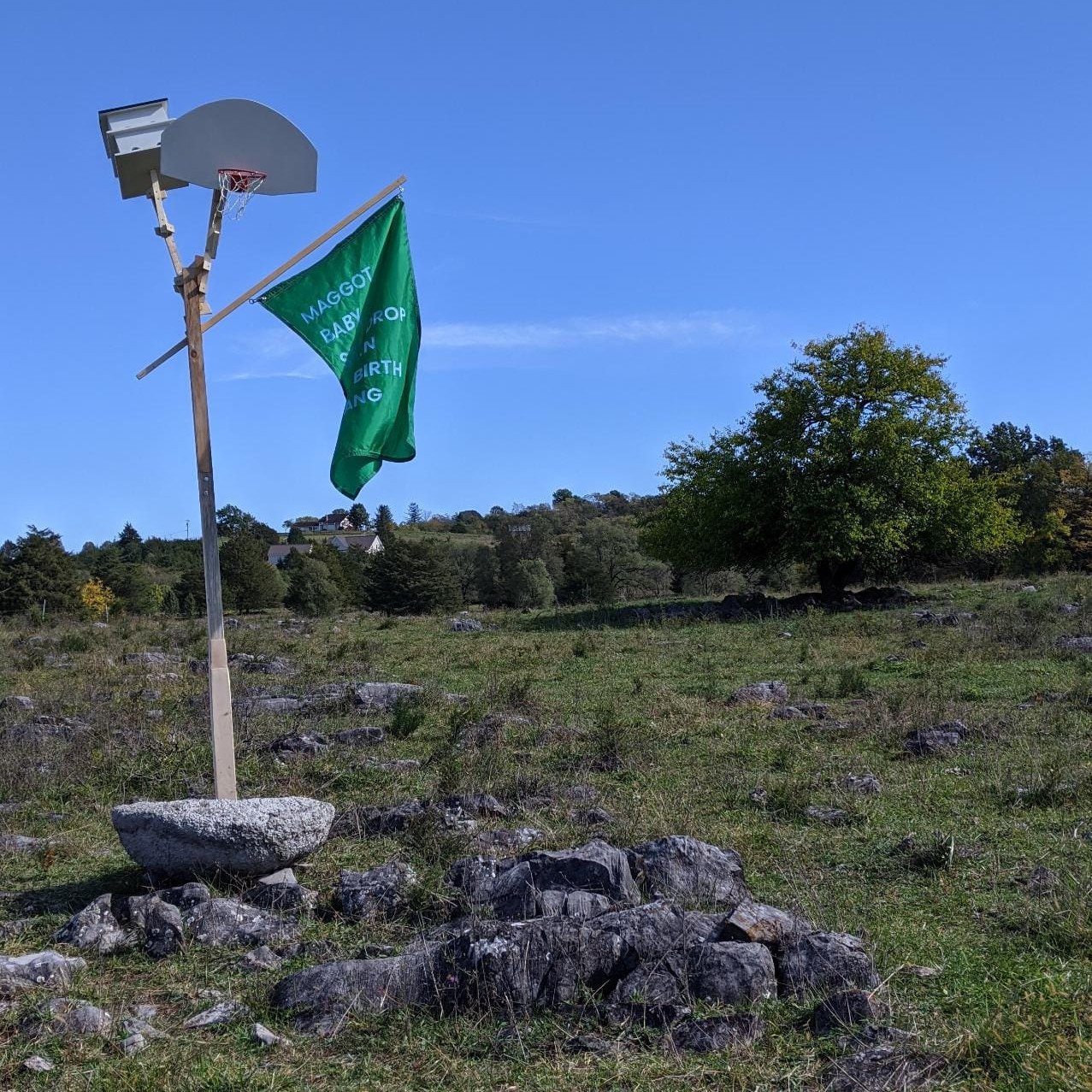 A concrete and mineral mushroom holds up a miniature basketball hoop, birdhouse and flag